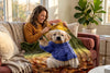 Puppy Print Faux Mink Throw Blanket, 48 x 60 in – view 2