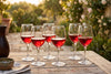 Stemmed Wine Goblets, 10.5 oz, Set of 6 – lifestyle